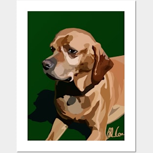 Taia the Portuguese Pointer Posters and Art